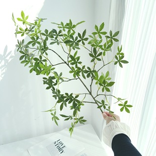 �����S�G�~ɭϵ�GɫС���~�R��ľ���乤�̈@�־��^�廨�쾰С�~��