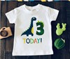 Cartoon dinosaur for boys, children's shirt, T-shirt, Birthday gift