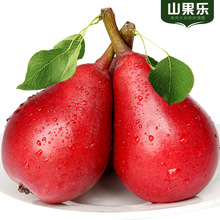 �Fժ�tơ��5�ﮔ������ˮ��̫����ܛ��s21���l