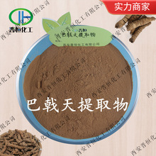 【男性】 巴戟天提取物 巴戟天皂甙  巴戟天粉末 工厂现货 | 包邮