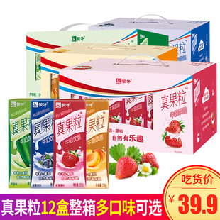 Mengniu Real Fruit Blueberry Flavor 250ml*24 Boxes of Milk Strawberry Nostalgic Mixed Dairy Products New Year Gift Box