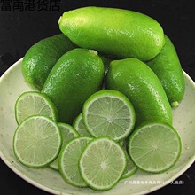 海南青柠檬无籽香水柠檬新鲜水果奶茶店专用整箱批发工厂一件批发
