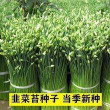 ļ̦·NrNѸ߮aͺ͟ˮļ߲˷N