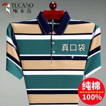 ��ľ�B�z���޷��I����T����������l�y������ڴ��ְ��bPolo��