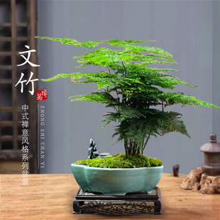 ��������ֲ���҃Ȼ����辰�͏d�k��������С�Gֲ���B����ļ�����