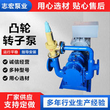 凸轮转子泵不锈钢凸轮转子泵食品转子泵糖浆面糊酱料电动输送泵