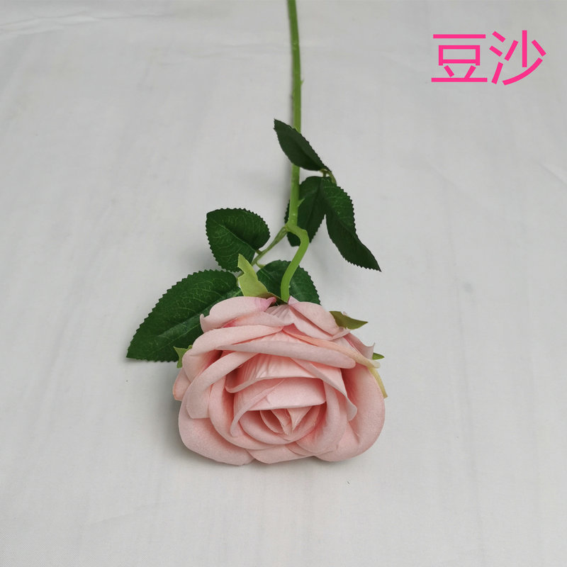 콩 페이스트