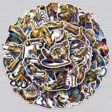 50����������N���͹��ſ�Cе�������x�����ˮ�b��֙C��X�N��