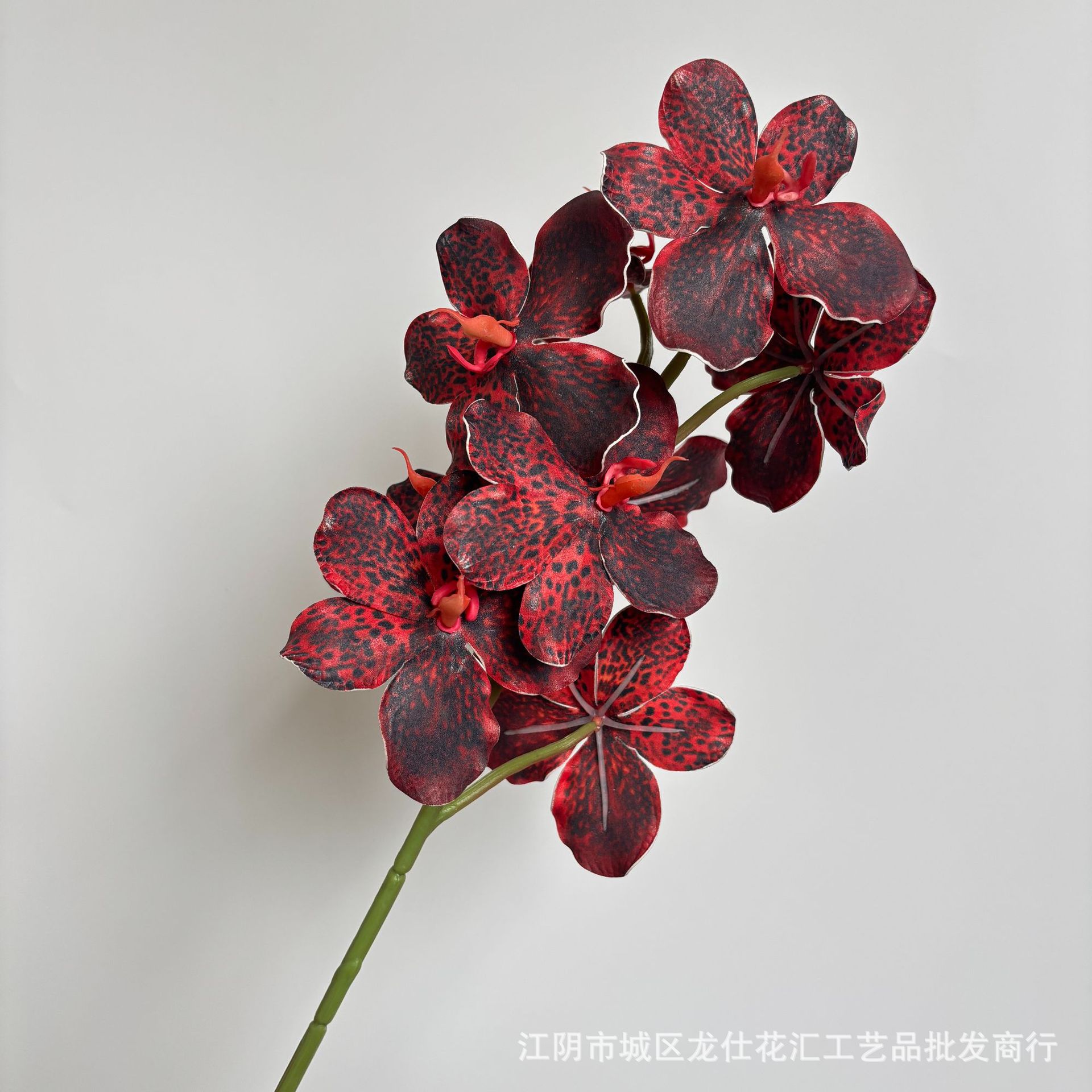 9 허기 밴다이 오키드 와인 레드