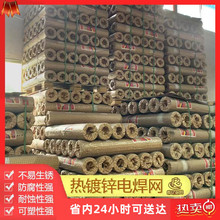 �F؛��\늺��W����\�����P�F�z�W1/2�̨��������I�W��䓽z�W