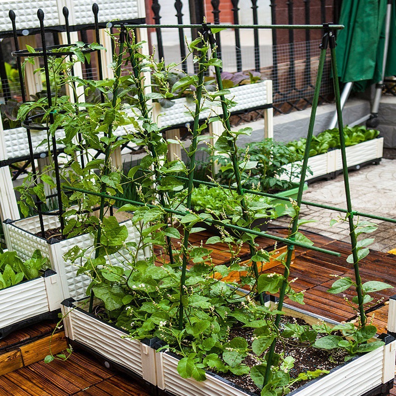 Cultivo de hortalizas, caja de plantación agrícola, marco de enredadera trepadora de tomate, marco de verduras, marco de frijoles de pepino, marco de arco, marco de escalada