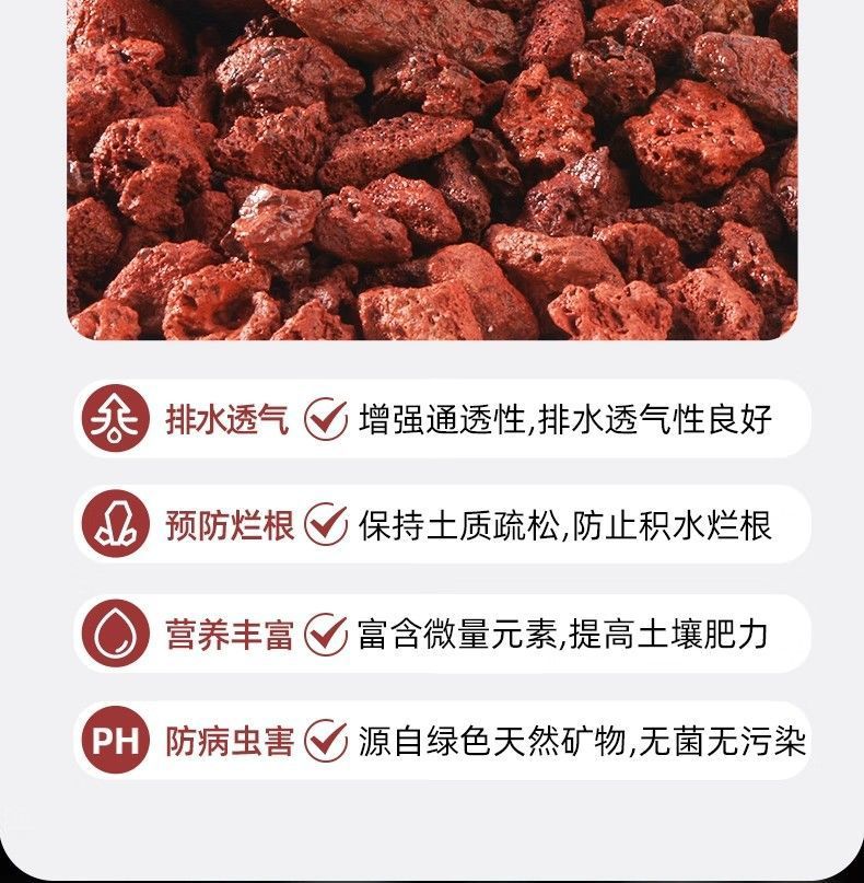 b78b844a-cd9d-44a7-be76-51dfa120a84b.jpe