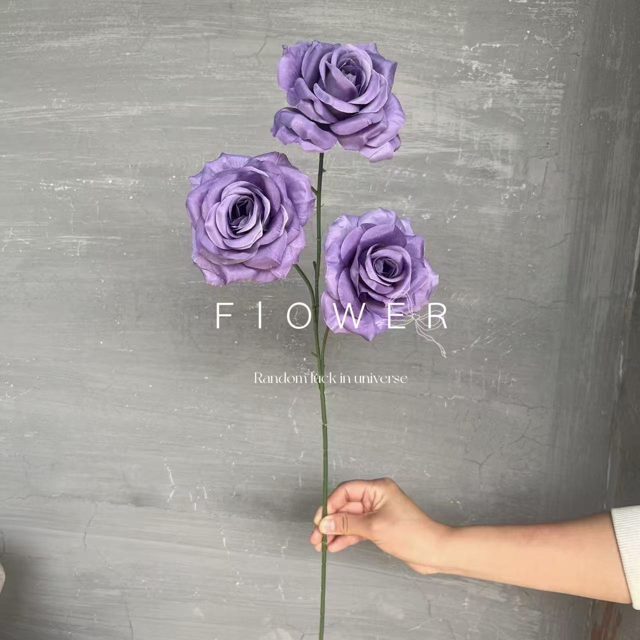 微信图片_20250410103521