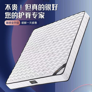 Roll-Packed Mattress for Home Use, Soft and Firm, 20cm Thick, 1.95m Independent Springs, Economical Thickened Model for Young People, Supply Chain