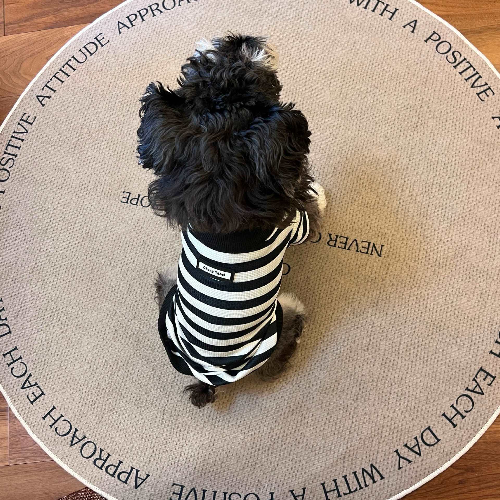 Striped Pet Clothing Image 5