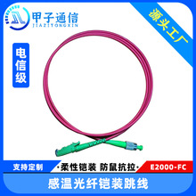 ��ģ��о�Мع��w���|E2000-FC�z�b�������������Sֱ�Nǧ��