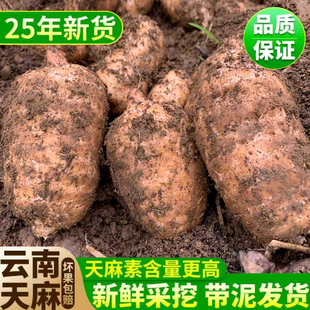 �݉����r����СҰ���Nֲ���L���������ڰl���