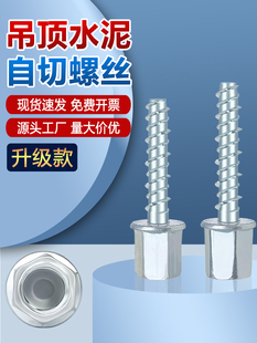 ��������ݽzᔵ�픽z�U�B�ӹ̶�������Û�ݽz�������Թ��^˨