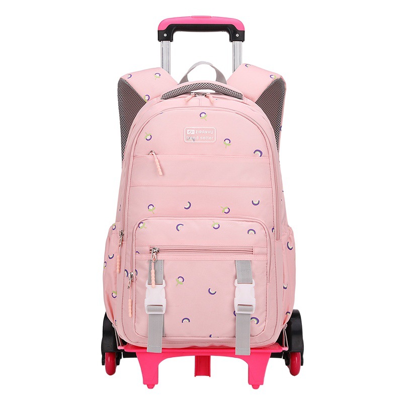 Venta caliente transfronteriza Carro de pescado natural mochila de las mujeres de seis ruedas de gran rueda de escalera de una sola pieza de entrega imprimible LOGO