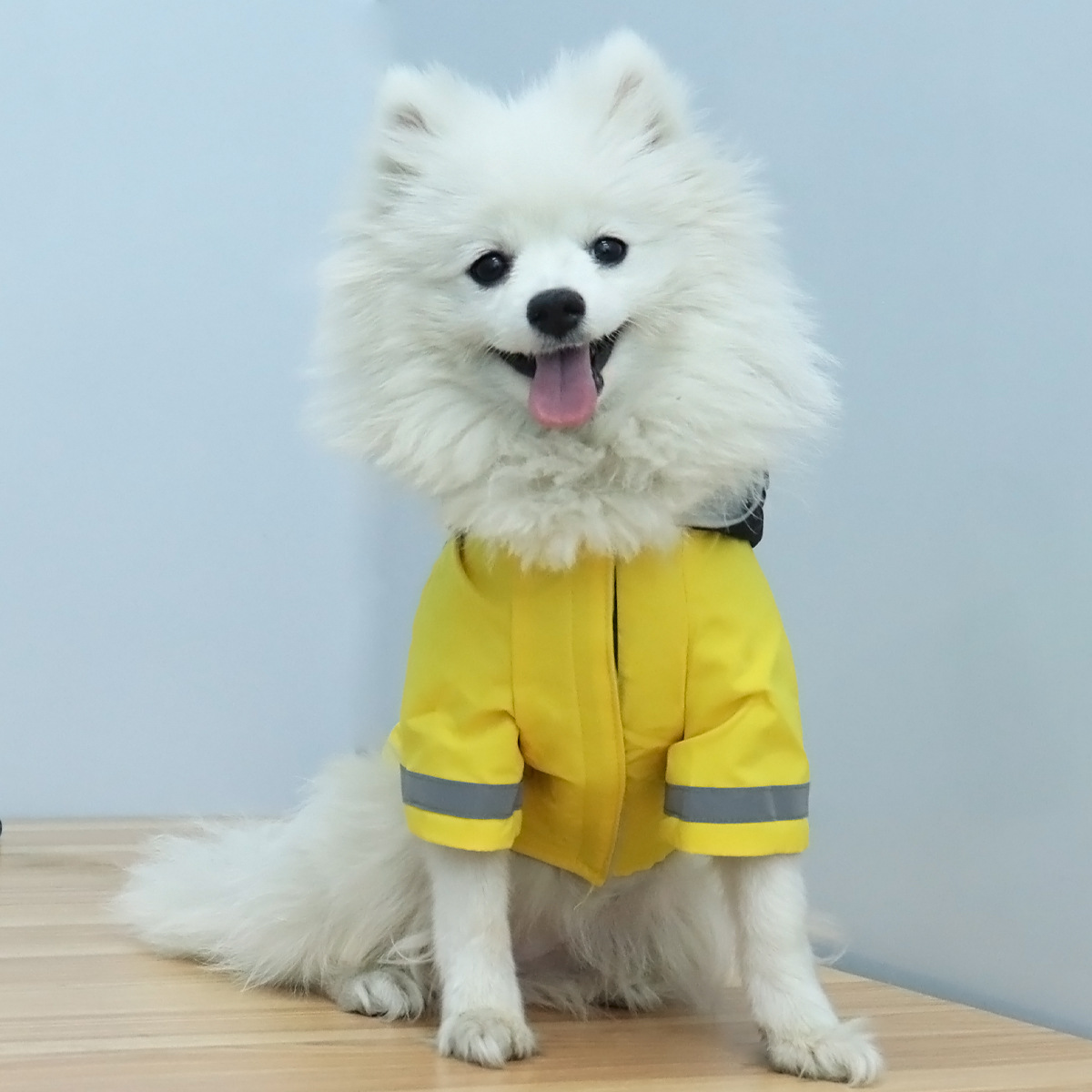 Ropa para mascotas Ropa para perros Chaquetas para perros pequeños y medianos engrosados de invierno Ropa para mascotas Corgi Teddy
