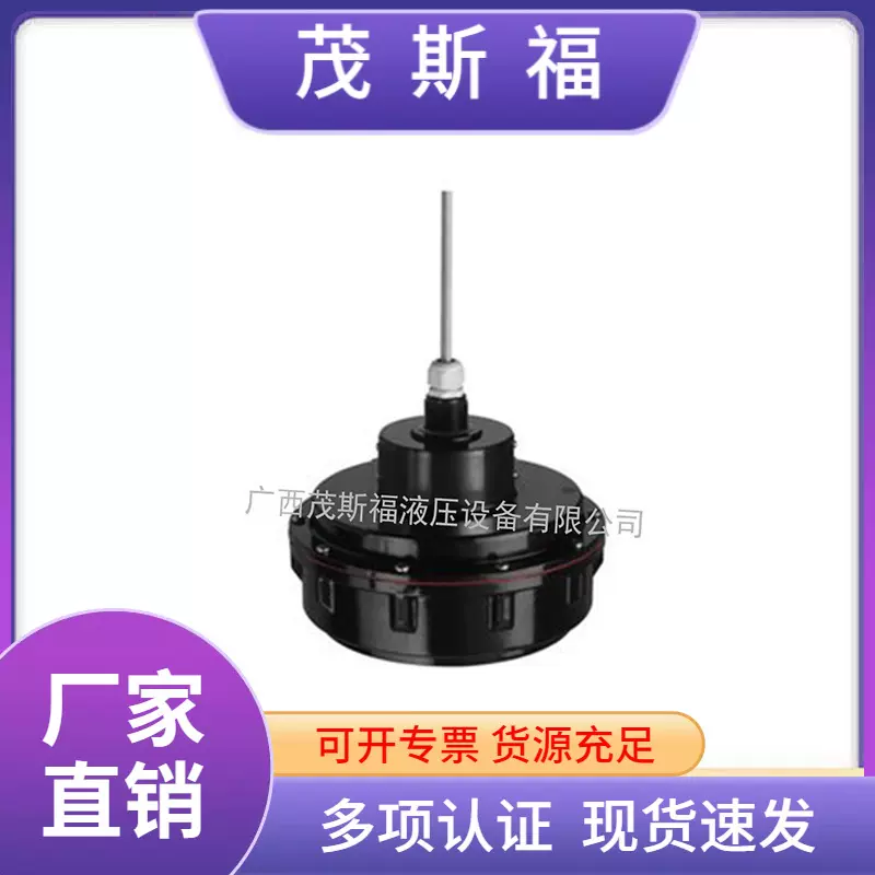 德国E+H恩德斯豪斯超声波物位变送器FDU95-R1N2A 超声波传感器