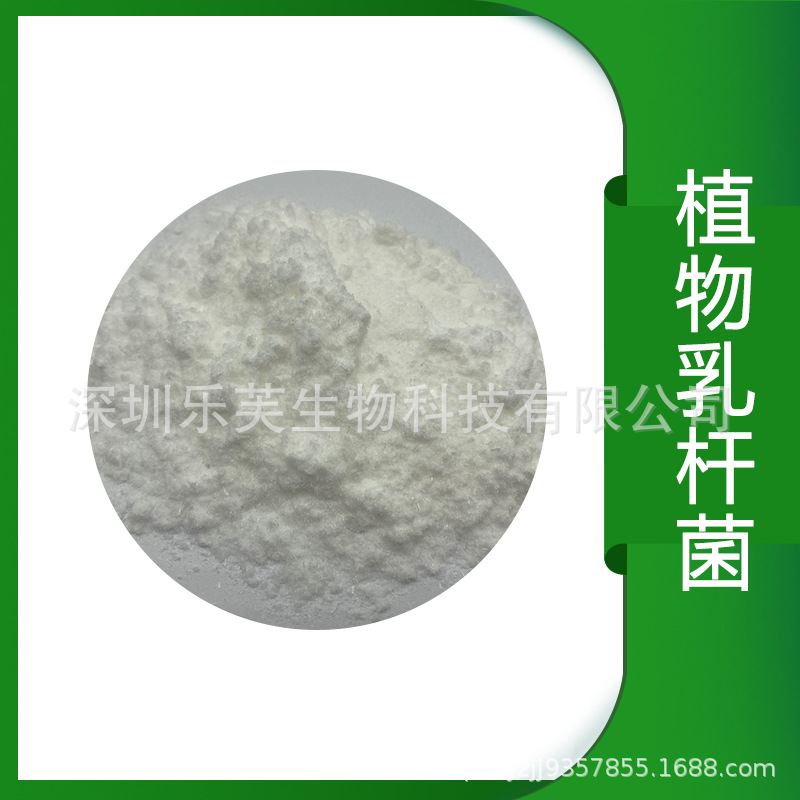 植物乳杆菌100亿冻干型益生菌原料粉 多种规格乳酸杆菌粉