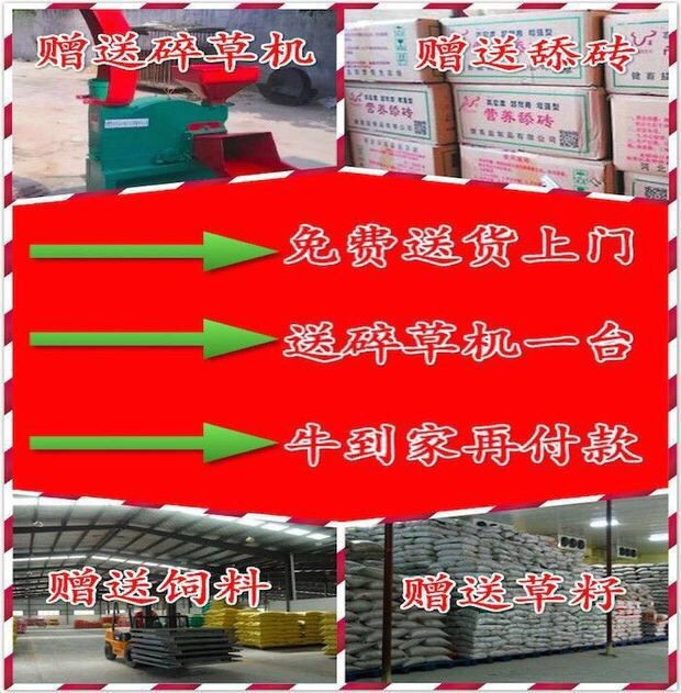 4310978441_1776031263