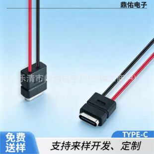 TYPE-Cĸ��2P���� �t�ڃɾ�ע��ĸ�^USB-C���ĸ�����С��늽ӿ�