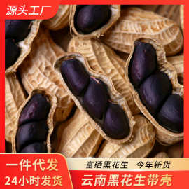 云南正宗富硒黑花生正品大小粒黑花生带壳紫衣花生黑皮生花生