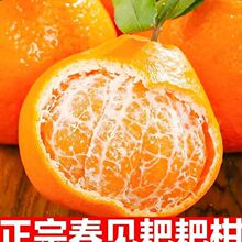 �Ĵ���Ҋ�ҰҸ̴�����r������]����ˮ��10����ٽۿ羳���u���u