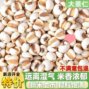 �F�ݴ�޲����������޲������s�ZŴ��޲�������С����򶹝{����