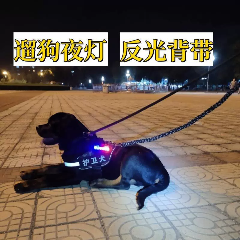 Светящийся жилет-поводок для собак, специальный свет для прогулок ночью, одежда для сторожевых собак, шлейка для собак, Тедди, Корги