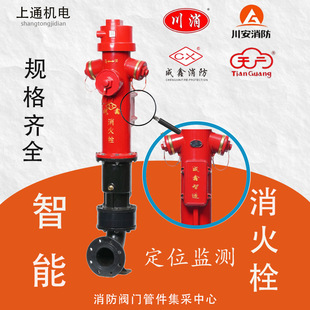 Sichuan Chengxin Ss100 Intelligent Fire Hydrant Flow and Pressure Tilt Monitoring Ss150 Factory Wholesale Intelligent Monitoring