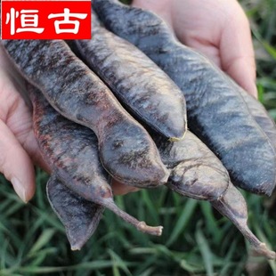 �������l������ ���v ���Ƕ���ș�Ĵ�؛�������v ����r��