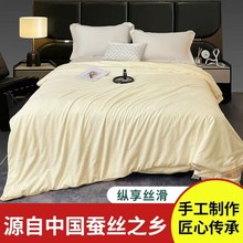 100桑蚕丝被子黄金丝春秋被加厚冬被二合一被芯陪嫁喜被贡缎水洗
