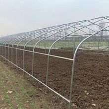 �������Ǽ��߲˴�������������B�u�Bֳ������Ҵ����Bֳ����