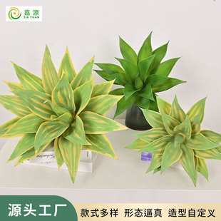 ���������m����ֲ���辰�Ҿ��҃��T��Gֲܛ�b�bGֲ�[�������m