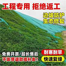 ���羳��؛����ƺ�N�Ӳ����ļ�����G����������Ľ�����é������