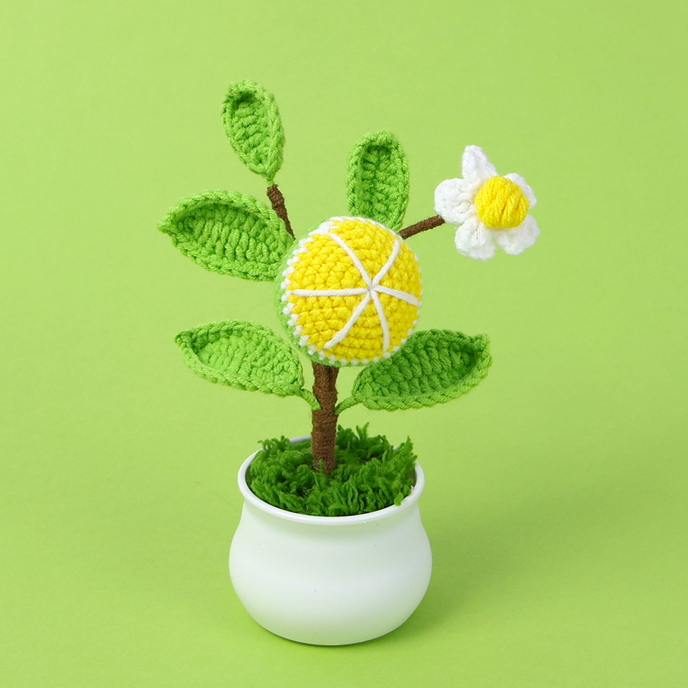 Plantas en maceta de Sheffield-Orange