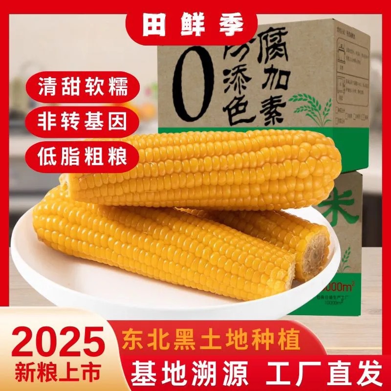 东北玉米糯玉米黄玉米黑玉米新鲜玉米非转基因箱装批发代发定制