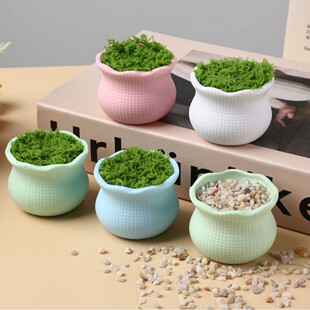 Դ�^���S���ϻ��軨�y�R����ɫdiyë���h��ŤŤ���[������С����