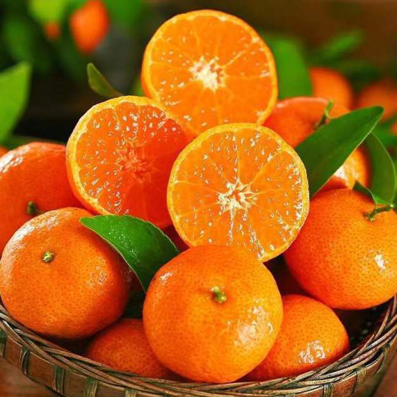 Sugar Orange Sichuan Province fresh Shatangju Orange Orange peel Season fruit 1/10 Jin sweet