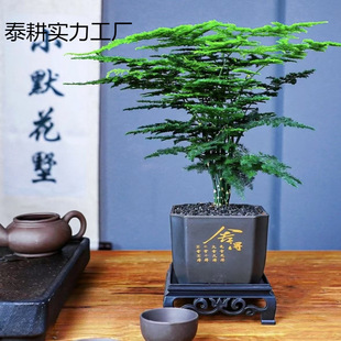 ���L�������ԾGֲ�҃ȕ�������͏dֲ����B�辰�k�����ļ�����