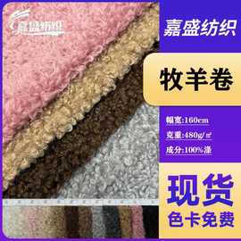 现货牧羊卷羊羔绒布秋冬服饰针织面料鞋帽毛毯玩具圈圈绒布料批发