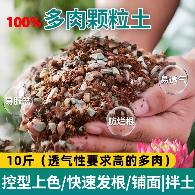 Succulent soil [100% particles] 5kg