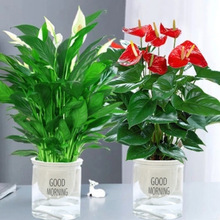 �t�ư����������������҃Ⱥ��Bˮ��һ���L혼t��ˮ���ļ��t�����l