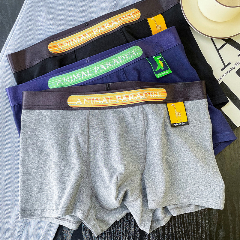 Wholesale New Cotton Breathable Personalized Boys Underwear Animal Embroidered Cloth Label Youth Shorts Mid-Waist Contrast Boxer Trendy