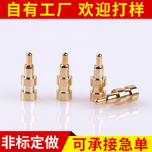 ���a�S��pogo pin�~������ �����̽��֙C�B�������̽�