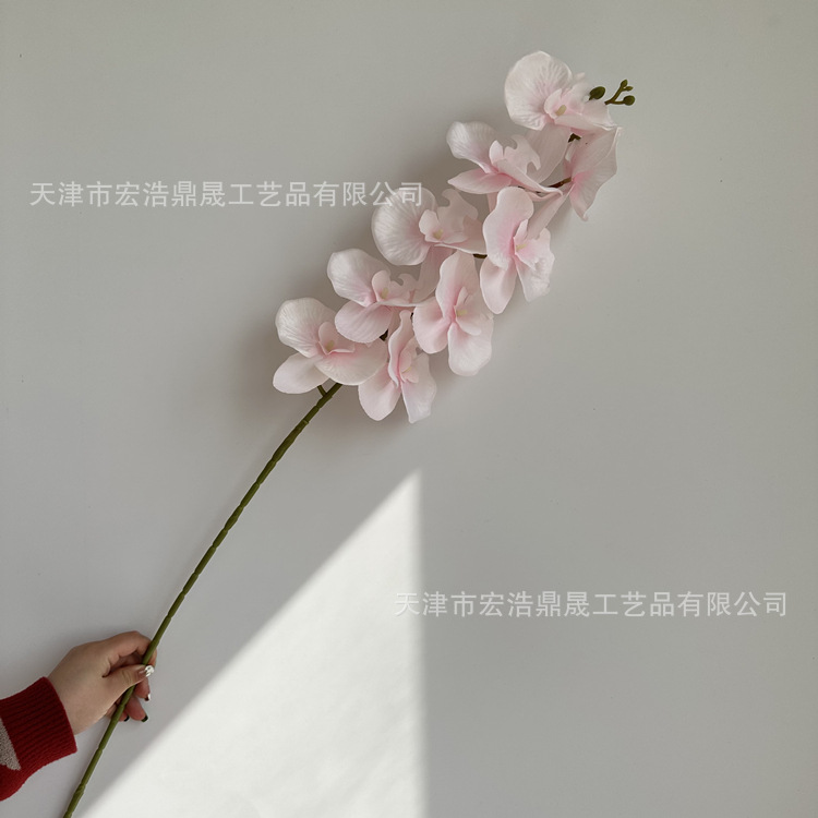 微信图片_202303031341506_副本