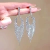 Shiny earrings, style